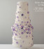 Brides Runway to Cake